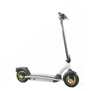 Scooter eléctrico ligero de 2 ruedas 500w con batería de litio