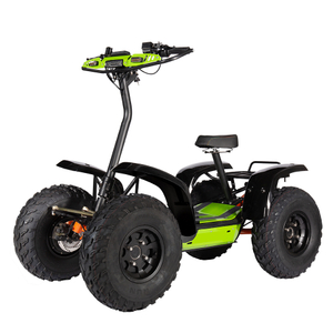 4 ruedas motrices eléctricas todoterreno scooter 4WD eléctrico ATV derecho EZraider